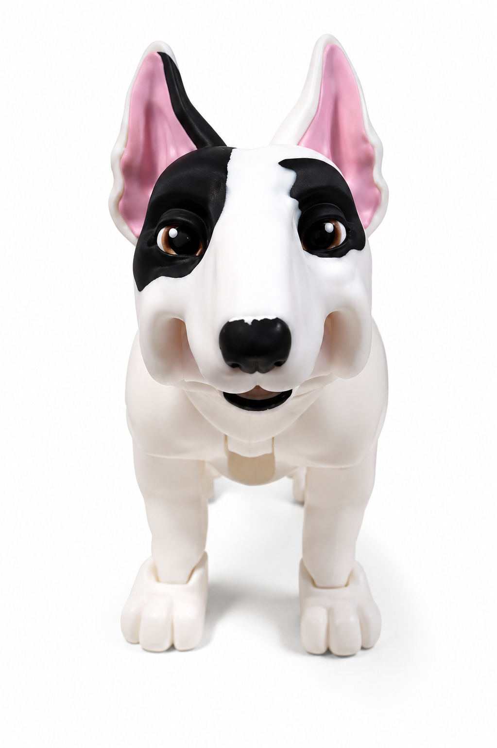 White Bull Terrier