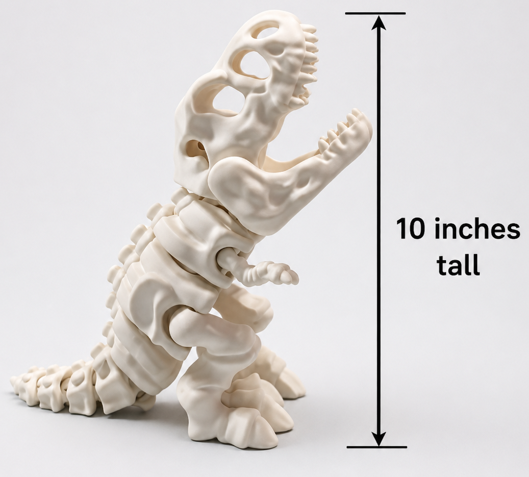 White articulated T-Rex skeleton posed upright with an arrow showing a height of up to 10 inches.